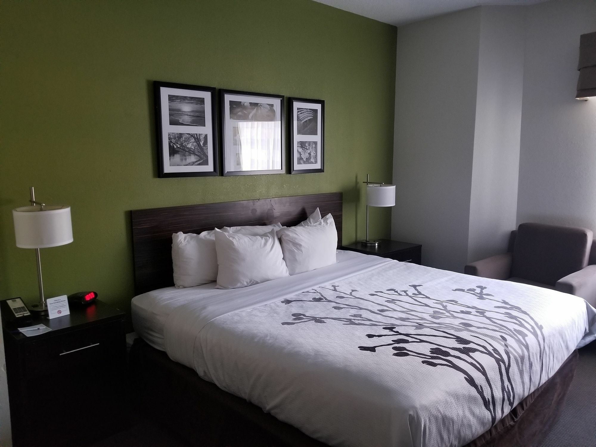 Sleep Inn Walterboro I-95 Extérieur photo